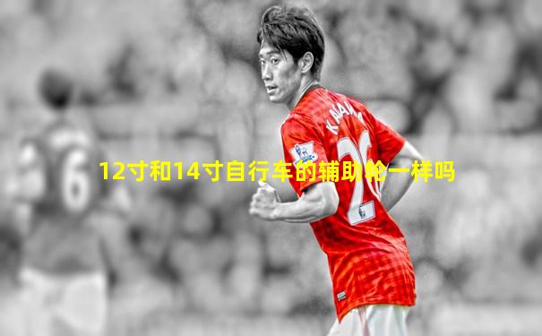 12寸和14寸自行车的辅助轮一样吗
