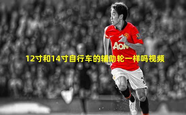 12寸和14寸自行车的辅助轮一样吗视频