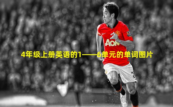 4年级上册英语的1――6单元的单词图片