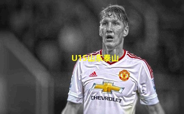 U15山东泰山