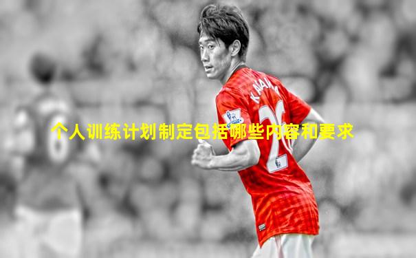 个人训练计划制定包括哪些内容和要求
