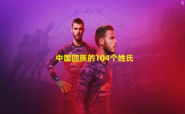中国回族的104个姓氏