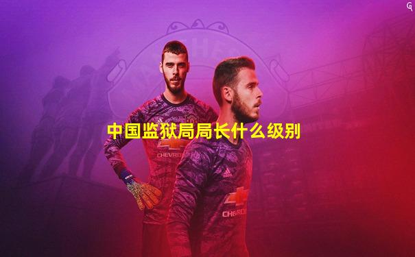 中国监狱局局长什么级别