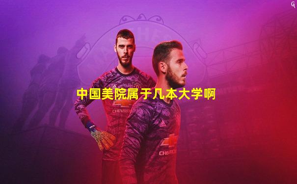 中国美院属于几本大学啊