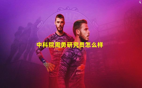 中科院周勇研究员怎么样