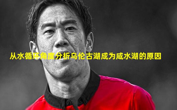 从水循环角度分析乌伦古湖成为咸水湖的原因
