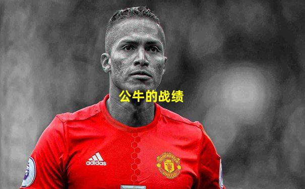公牛的战绩