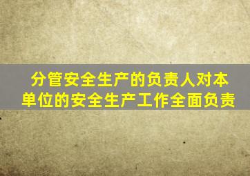 分管安全生产的负责人对本单位的安全生产工作全面负责