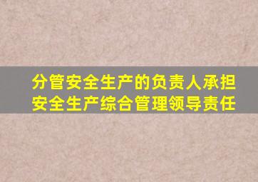 分管安全生产的负责人承担安全生产综合管理领导责任