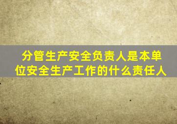分管生产安全负责人是本单位安全生产工作的什么责任人