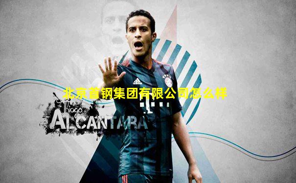 北京首钢集团有限公司怎么样