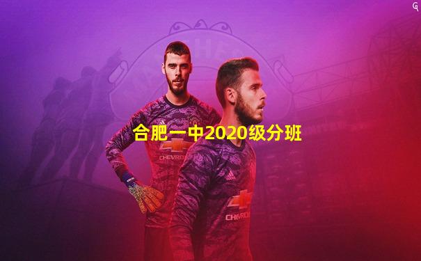 合肥一中2020级分班