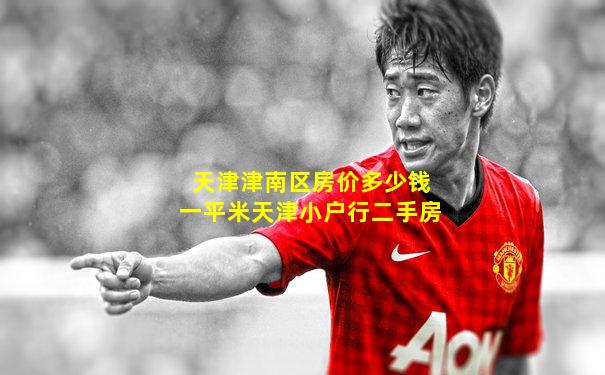 天津津南区房价多少钱一平米天津小户行二手房