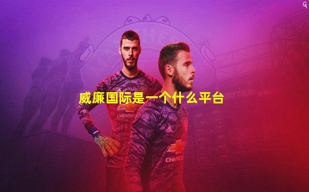 威廉国际是一个什么平台