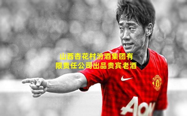山西杏花村汾酒集团有限责任公司出品贵宾老酒