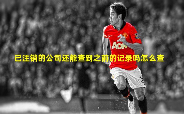 已注销的公司还能查到之前的记录吗怎么查