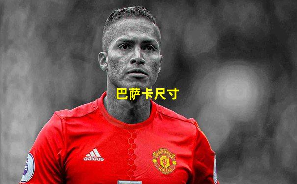 巴萨卡尺寸