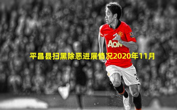 平昌县扫黑除恶进展情况2020年11月