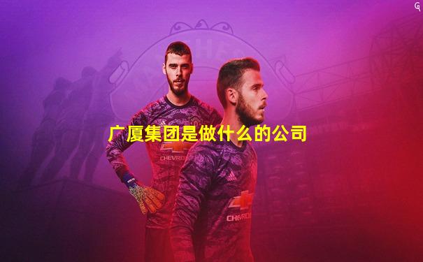 广厦集团是做什么的公司