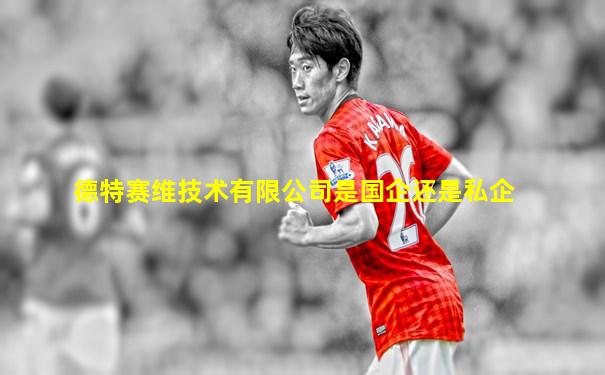 德特赛维技术有限公司是国企还是私企