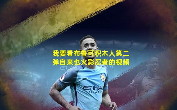 我要看布鲁可积木人第二弹自来也火影忍者的视频
