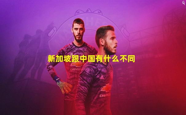 新加坡跟中国有什么不同