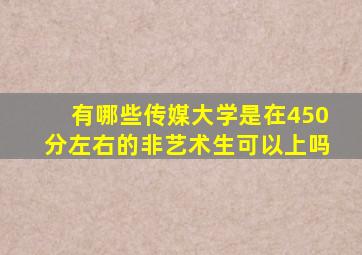 有哪些传媒大学是在450分左右的非艺术生可以上吗