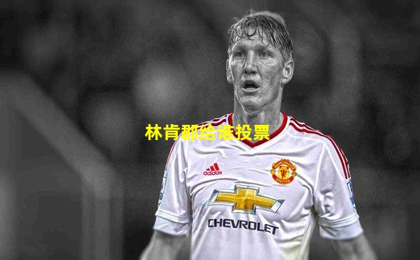 林肯郡给谁投票