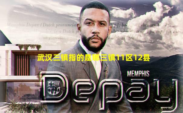 武汉三镇指的是哪三镇11区12县
