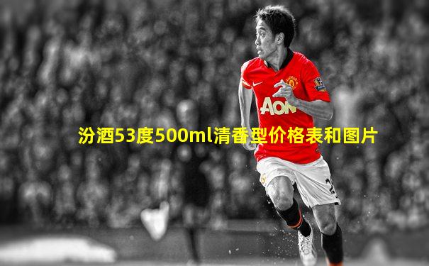 汾酒53度500ml清香型价格表和图片