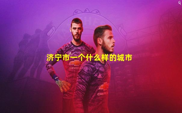 济宁市一个什么样的城市