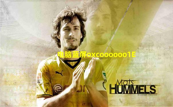 电脑蓝屏oxcoooooo1E