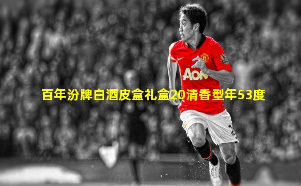 百年汾牌白酒皮盒礼盒20清香型年53度
