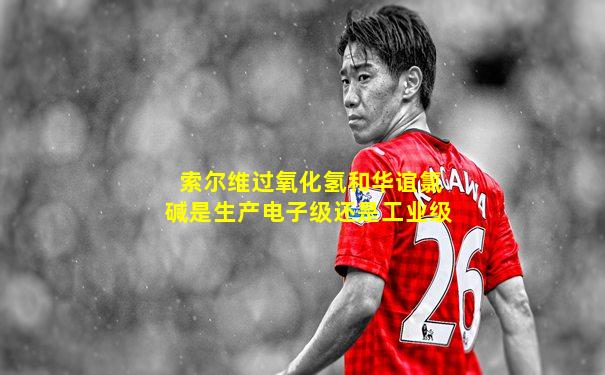 索尔维过氧化氢和华谊氯碱是生产电子级还是工业级