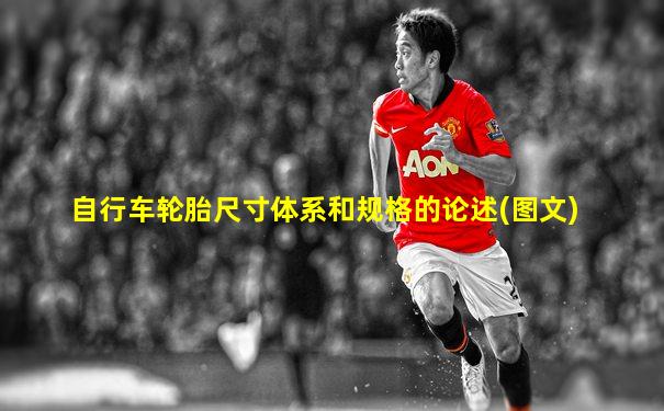 自行车轮胎尺寸体系和规格的论述(图文)
