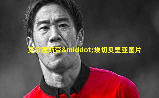 艾尔涅斯帝·埃切贝里亚图片