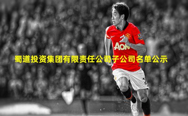 蜀道投资集团有限责任公司子公司名单公示