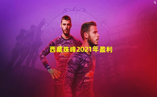 西藏珠峰2021年盈利