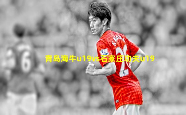 青岛海牛u19vs石家庄功夫u19