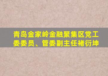 青岛金家岭金融聚集区党工委委员、管委副主任褚衍坤